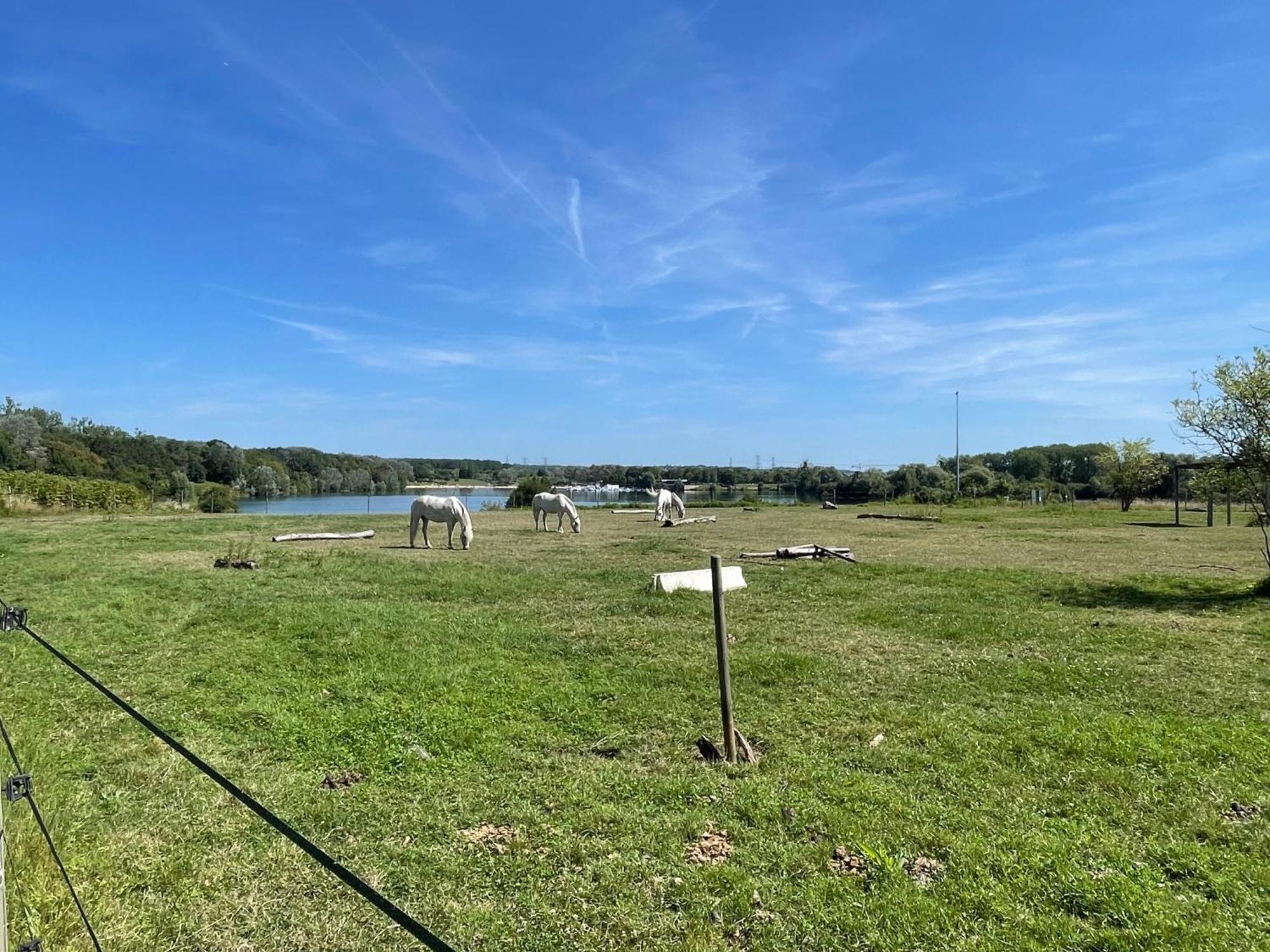 Chambre Climatisee, Entre Paris Disneyland, Au Coeur Des Jeux Olympiques Canoe-Kayak, Vaires-sur-Marne Luaran gambar